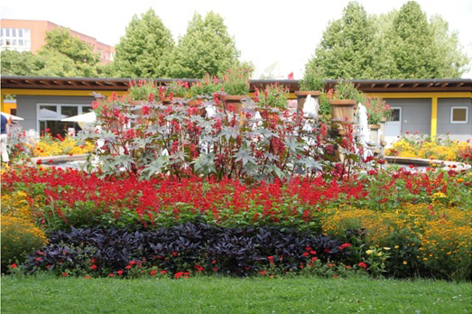 Gärten der Welt - Foto Kerstin Rocktäschel